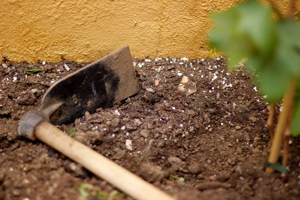 Spade standing in freshly spread landscaping material beside a prepared garden bed