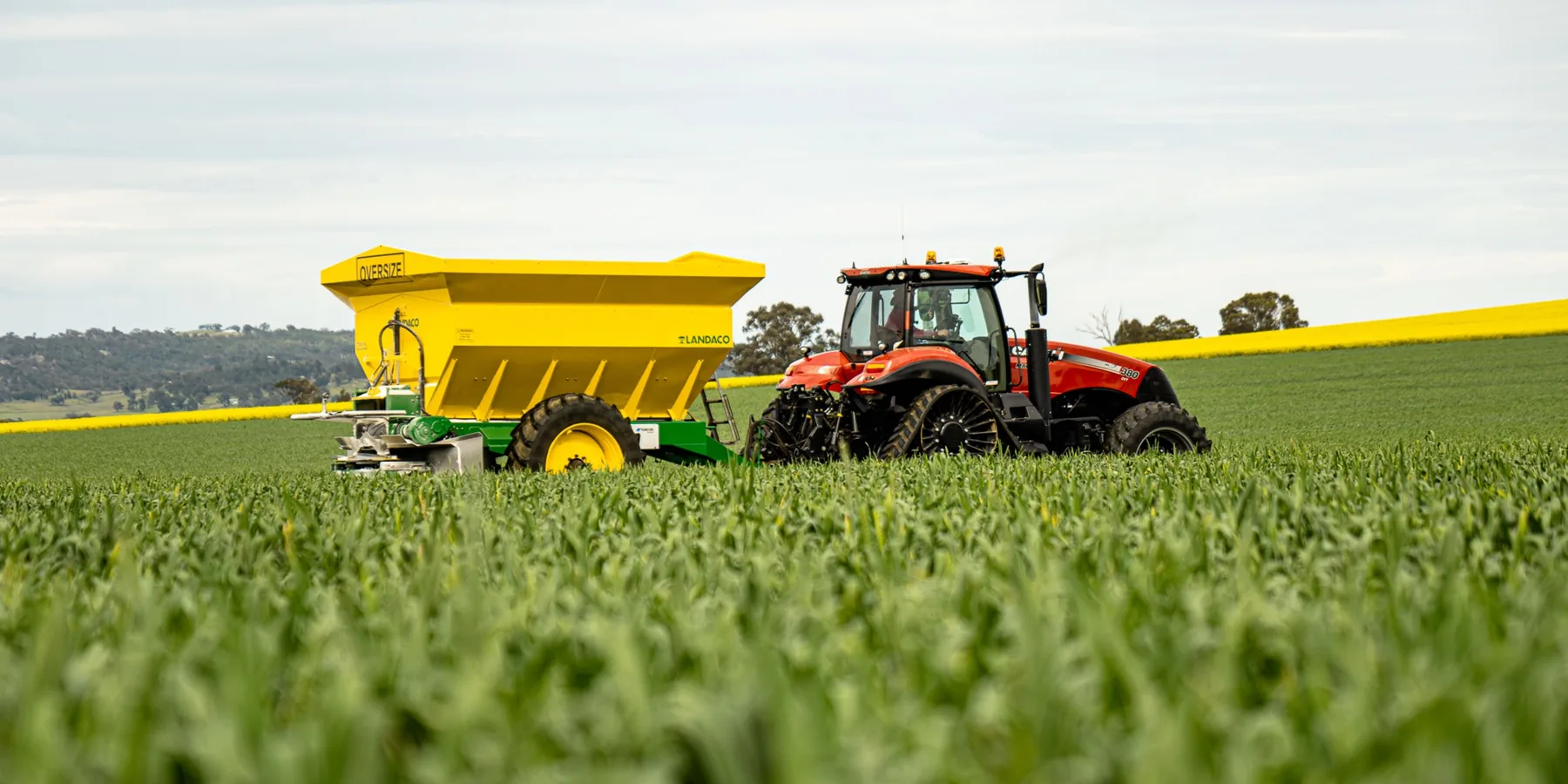 Broadcast spreader on a lawn