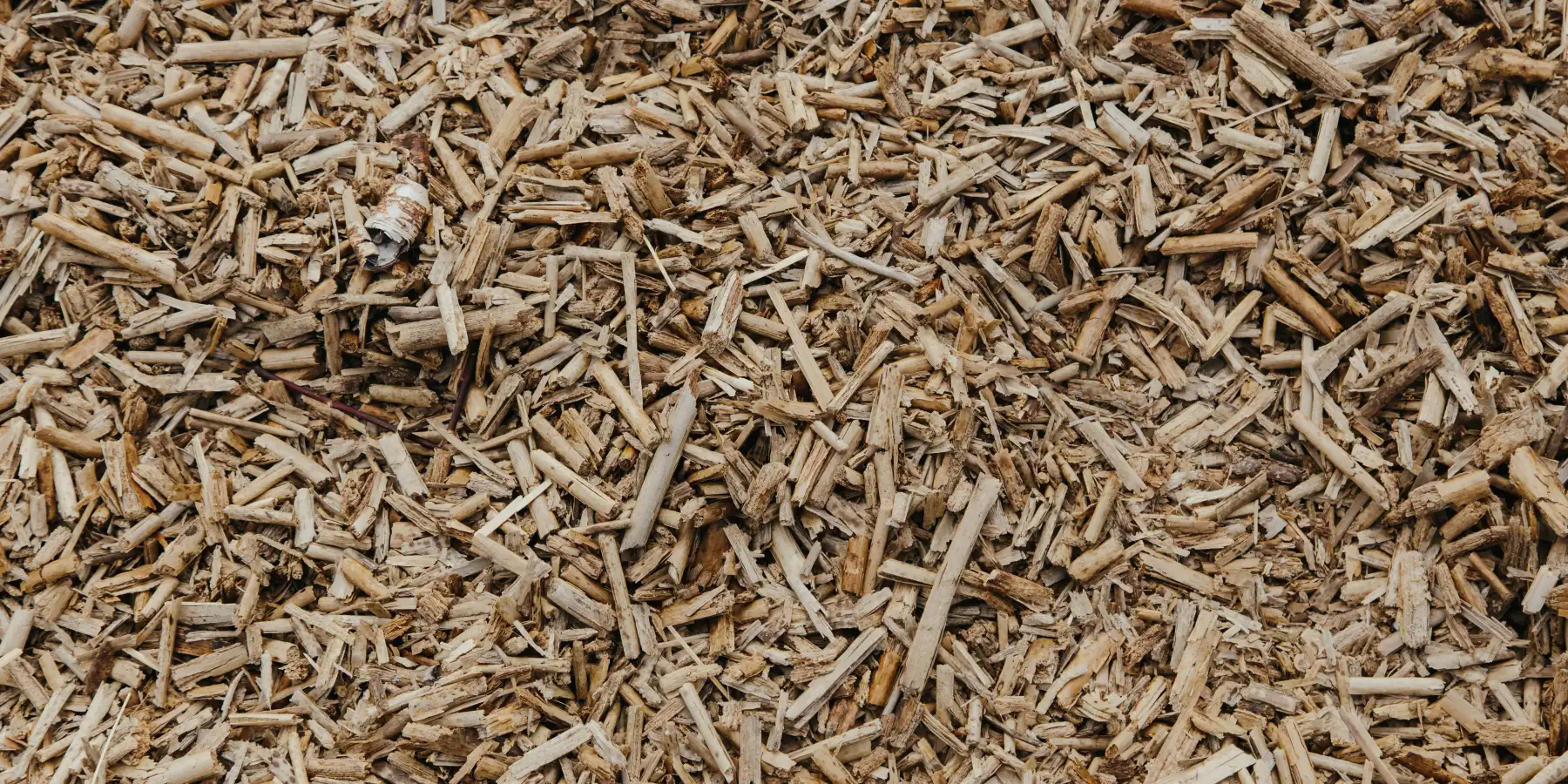 Close-up of brown wood chip mulch
