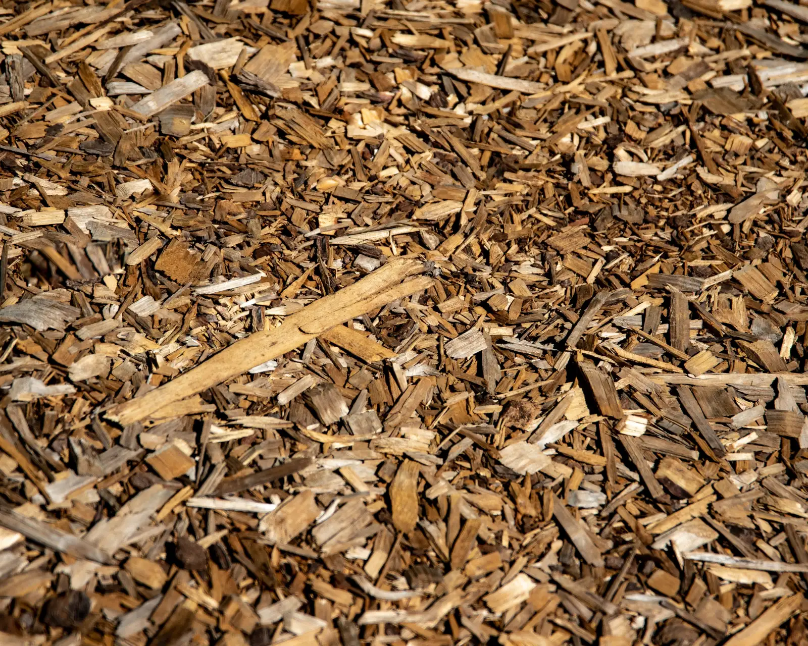 Close-up of brown bark mulch