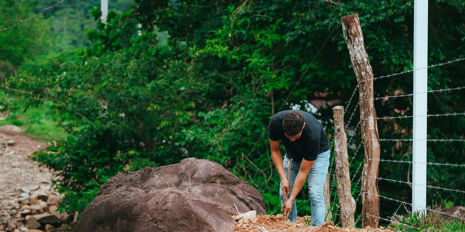 Setting a timber fence post into a dug hole