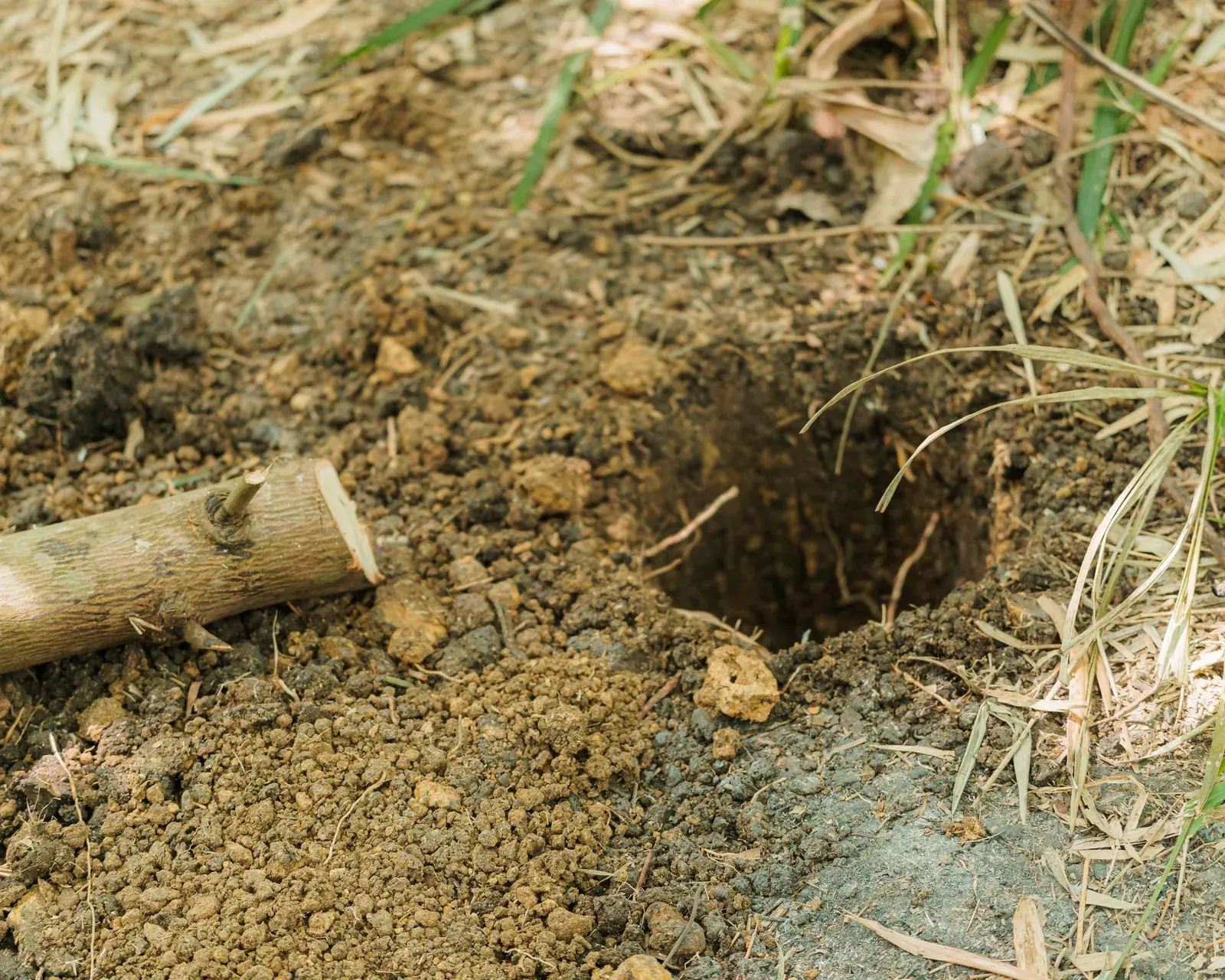A dug post hole with the timber post laid beside it