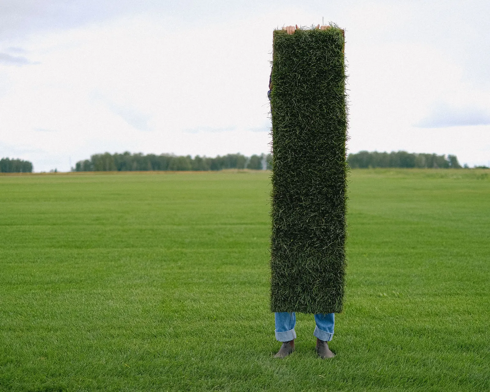 A gardener holding up a long strip of fresh sod